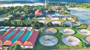 자이아쿠아팜, 2000만원으로 월 70만원 수익… 장어양식장 투자