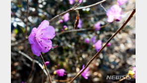 [날씨]밤부터 기온 뚝…14일 아침 대부분 영하권