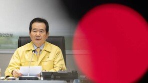 丁총리 “16일부터 유럽 전역 특별입국절차 적용…추가조치도 검토”