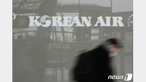카카오, 한진칼 지분 일부 매각…“금융시장 불확실성 선제 대응”