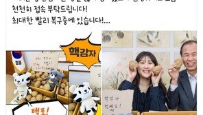 감자 파는 최문순, 8000상자 90초만에 완판…이쯤되면 ‘판매왕’