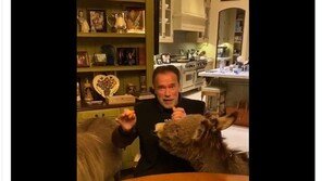 美 연예인들, ‘사회적 거리두기’ 홍보 동참