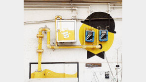 골목의 표정[고양이 눈]