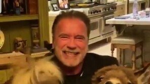 “가능한 오래 집에 있어라”…헐리우드 스타들 ‘사회적 거리두기’ 독려