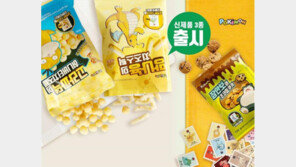게임 캐릭터 과자가 불티난다, 아이들 시선 사로잡는 '이색 콜라보'