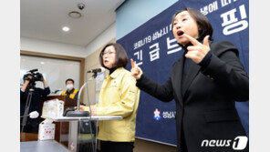 은수미 성남시장 코로나19 음성 판정…19일 업무 복귀