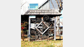 곤충호텔[고양이 눈]