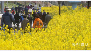 [청계천 옆 사진관]그래도 봄은 옵니다 
