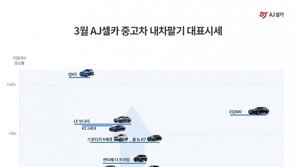 중고 소형 SUV 강세… 르노삼성 QM3 3월 시세↑