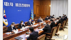 文대통령, 채권·증권 안정 27조 금융대책…24일 2차 비상경제회의