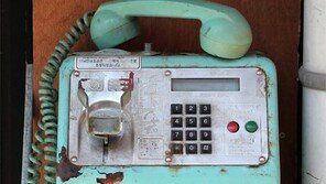 공중전화의 추억[고양이 눈]