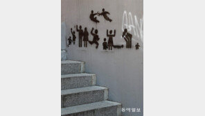 흑백 일상[고양이 눈]