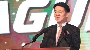 대한항공, 내년 조원태 회장 사내이사 연임 ‘청신호’… 주총서 정관 변경 성공