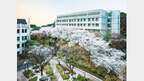 두 개 이상의 전공 결합 ‘연계전공’ 개설… 패션마케팅-다문화사회 전문가 양성