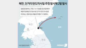 미래한국당 “북한 미사일 한 달간 4건…文은 北 언급안해”