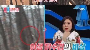 ‘동상이몽2’ 강남♥이상화, 집념의 닭사냥…자급자족 생활 도전