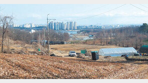 의왕 초평뉴스테이 인근 그린벨트 토지