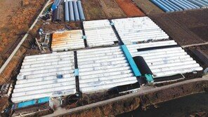 장어 양식장에 2000만원 투자… 다달이 70만원 수익