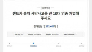 [e글e글]‘무면허 사망사고 10대 엄벌’ 청원 20만 돌파 …‘근황 글’도 논란