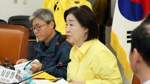 심상정 “IMF 때 가난한 사람 더 가난해져…코로나 양극화 막을 것”