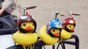 오리 히어로[고양이 눈]