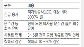 정부, 대기업 항공사도 지원 나선다 