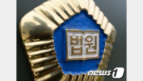 대전·일본서 여성 치마 속 몰래 촬영한 전 국립대 연구교수 집유