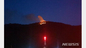 함평 야산서 불…임야 0.01㏊ 소실
