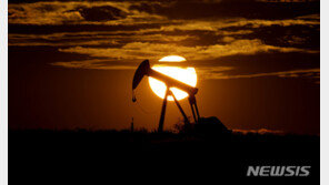 OPEC+ 회의 시작…감산 희망에 유가 12% 상승