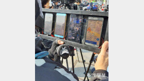 ‘퀵’ 총선 중계[고양이 눈]