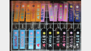 스타의 이름[고양이 눈]