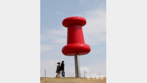 인생의 핀[고양이 눈]