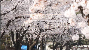 [경마 단신] 경마공원 벚꽃 버스킹 집에서 즐겨요 外