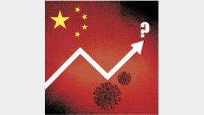 중국의 마이너스 성장[횡설수설/신연수]