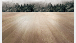 이건마루, 프리미엄 원목마루 브랜드 ‘LARGO(라르고)’ 론칭