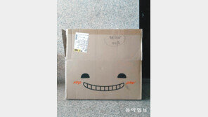 택배상자의 미소[고양이 눈]