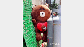 끼었다곰[고양이 눈]