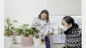 [동아포토]“코로나, 초록 기프트 박스로 극복해요”