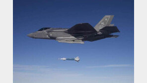 美, 중러 견제차 알래스카에 F-35A 첫 배치…“내년 말까지 54대”