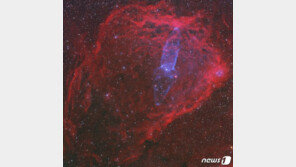 우주를 유영하는 ‘거대오징어’ 사진, 천체사진공모전 대상