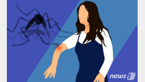 질본 “말라리아 감염 주의”…5~10월에 90% 발생