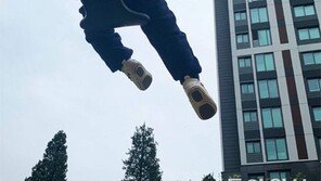 날아라 병아리[고양이 눈]