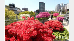 우리, 이제 조금 가까워져도 될까요?[청계천 옆 사진관]