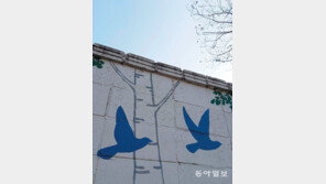 너의 소원은[고양이 눈]