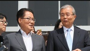 박지원, 김종인에…“비대위장이 직업인가, 홍준표가 비판하는건…”