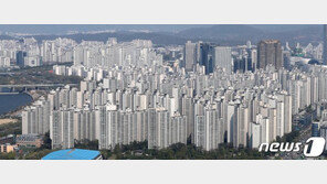 공시가 불만 제기해도 조정은 3%뿐…아파트 단지 중심으로 반발 예상