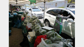 [청계천 옆 사진관]코로나 진단서 직거래장터…‘드라이브 스루’ 어디까지?