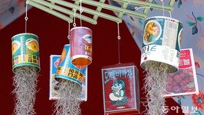 도깨비 ‘까자’[고양이 눈]