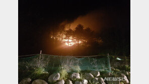 丁총리 “강원 고성 산불 진화에 인력·장비 최대한 동원하라”