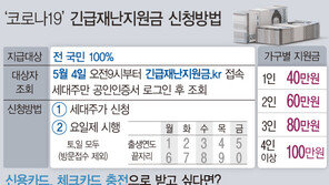 “URL 누르지 마세요”…긴급재난지원금 안내 문자 ‘스미싱’ 주의보
